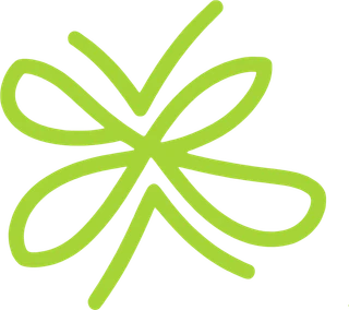 Vyaris logo
